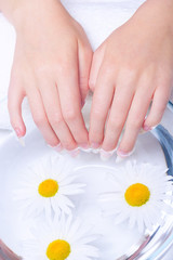 Close-up hands of young woman with natural nails, lowered into plate with healing infusion of chamomile. Procedure for treating nails in spa salon.  Concept of healthy hands. 