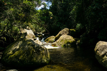 Fototapeta premium Mountain stream in the forest
