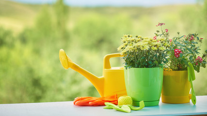 Outdoor gardening tools and flowers
