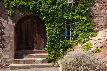 Old wooden door and brown bricks with green ivy