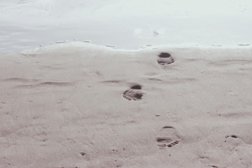 Footprints come out of the sea.
