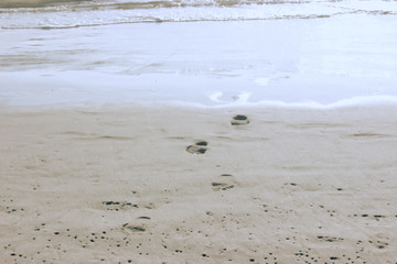 Footprints come out of the sea.