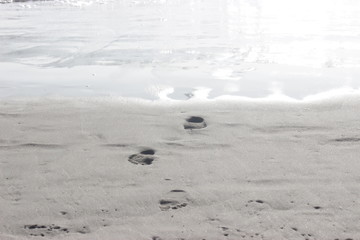 Footprints come out of the sea.