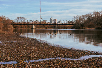 A view of the White River, geese, a train bridge and downtown Indianapolis