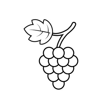 Grape with leaf icon outline vector. Wine logo. Graphic wine dessert symbol. Black grapevine icon on isolated background. Bunch of grape line style. Single vector illustration eps10