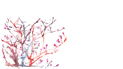 watercolor overgrown spring blooming pink flowers shrub