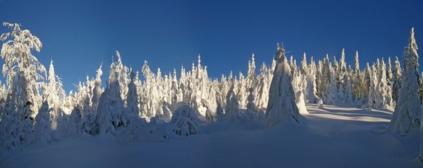 Beautiful winter day in the mountains,winter landscape with the snow covered spruce trees,mountain...