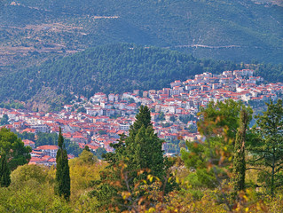 Kastoria city,  Greece. Trees city and mountains view.