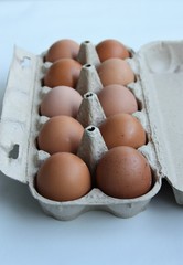 ten eggs in a cardboard box