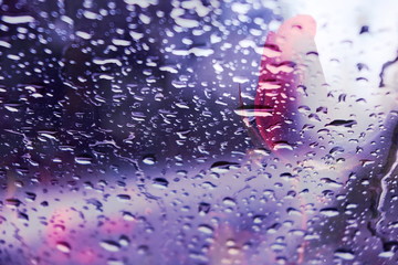 The mixed image of the view of the water on the glass and the view of the blooming Rose at the warm summer rainy day at the botanical garden. 