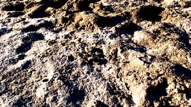 Very dry ground. Salt at the ground. lonely way. Die on thirst.