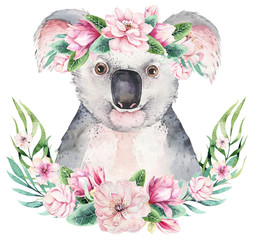 A poster with a koala. Watercolor cartoon koala tropical animal illustration. Jungle exotic summer print. © kris_art