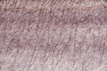 Blue Mesa Trail in the Petrified Forest National Park provides a closeup view of the sandstone textures