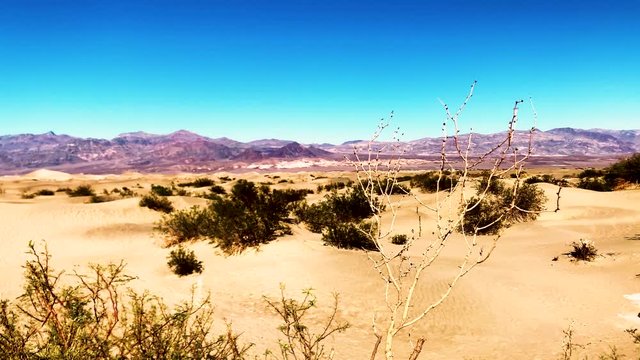 Sand dunes in the desert. Lonely places. Thirsty.