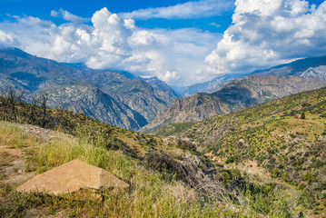 Fototapeta premium Big white clouds over mountains of in Sequoia National Forest,California,USA