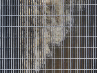grey steel mesh texture background