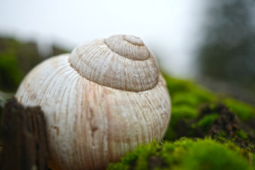 Weinbergschneckenhaus