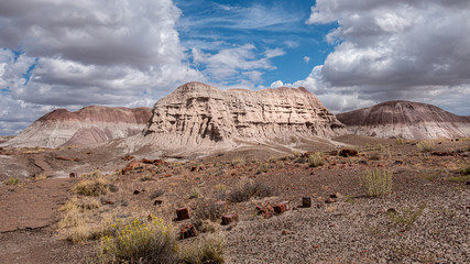 Among the hues of magenta, brown, orange and gold, a main butte shines bright as it contrasts with the surroundings as the sky beings to clear. Petrified rock is strewn nearby.