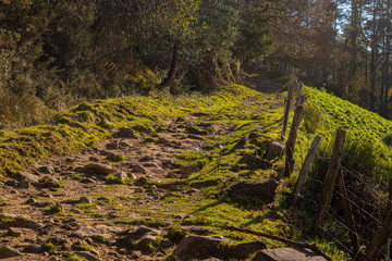 Monte Adarra, piedras, rocas y prados.