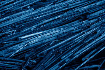 The rotten stems of the reeds are fallen in water in a trendy blue tone. Abstract texture.