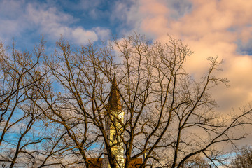 Obraz na płótnie Canvas View of the cathedral through a tree in the city of Šiauliai in Lithuania.