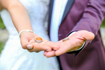 Fototapeta premium two wedding rings in the hands of the newlyweds gold wedding rings wedding rings of precious metal on the hands of a man and a woman wedding ceremony. 