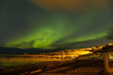 Foto op Aluminium what a beautiful moment of the northern lights, a wave of greenery in the sky with the beach in the foreground  © Dasya - Dasya