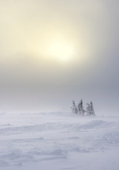 Snow-covered mountains during a snowfall at the sunrise.