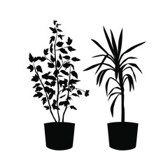  Vector silhouette of a home tree plant in a pot, black color isolated on a white background