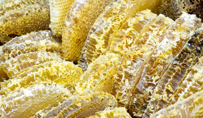 natural organic honeycomb sold placed side by side.