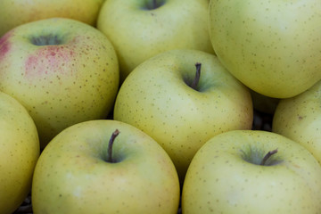 Fresh Shinano Gold Apples for sale