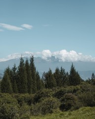 Ecuador Mountains