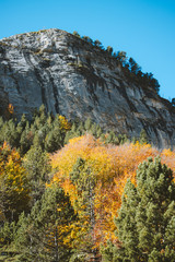 Autumn tones on the trees in Pyrenees during fall