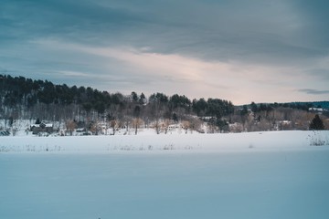 Naklejka premium Winter