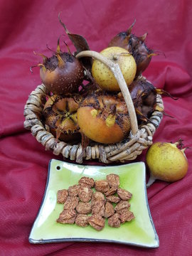 mespilus germanica and seeds