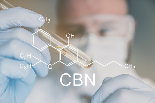 medical CBN (Cannabinol) formula . Indoor grow cannabis cultivation. The concept of growing pot marijuana. Weed for recreational purposes. Indoor method of growing cannabis.Bloom of cannabis.