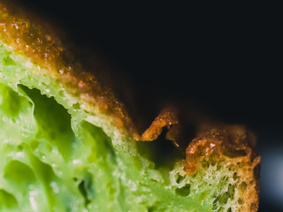 Closeup of bread