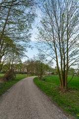 Tree lined lane near Loenen in The Netherlands