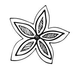 Floral vector illustration. Hand drawing flower on white background. Line art doodles. 