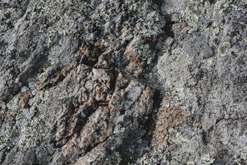 rock pattern