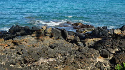 sea and rocks