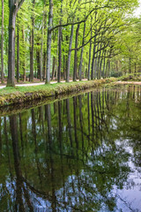 Castle pond of Kasteel Ter Horst in Loenen, The Netherlands, lined with trees.