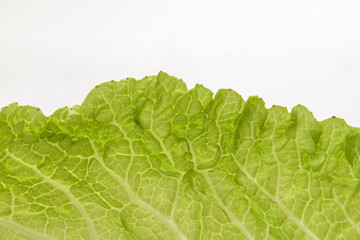 Light background of a leaf of Beijing cabbage.