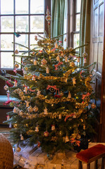 Fototapeta na wymiar christmas tree in house