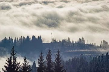 Behang Mistig bos Karpaten in de golven van mist