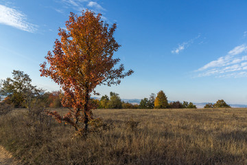 Autumn landscape of Cherna Gora mountain, Bulgaria