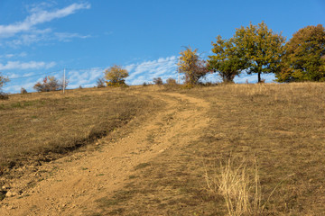 Fototapeta na wymiar Autumn landscape of Cherna Gora mountain, Bulgaria