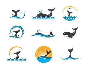 whale tail icon vector illustration design © sangidan