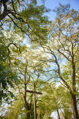 Church exterior during wedding ceremony. Blue sky with sunny weather.