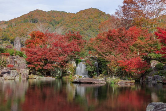 180 Best Yabakei Images Stock Photos Vectors Adobe Stock